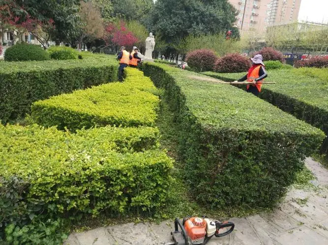 米乐官网：花卉苗木园林景观设计