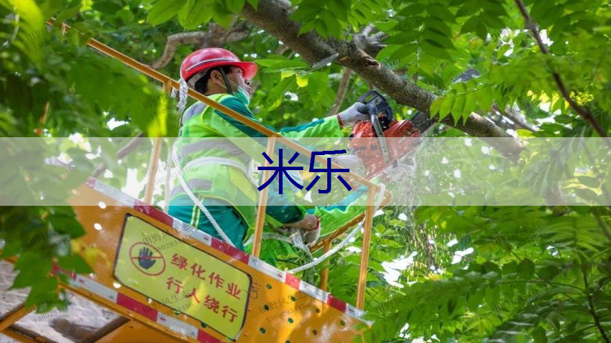 米乐m6官网登录入口：成都龙湖三千云锦实地探房-龙湖三千云锦质量、绿化、物业服务如何？