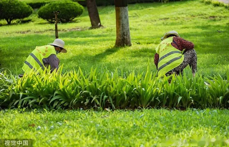 米乐：成都人居江岸林语实地探房-人居江岸林语质量、绿化、物业服务如何？
