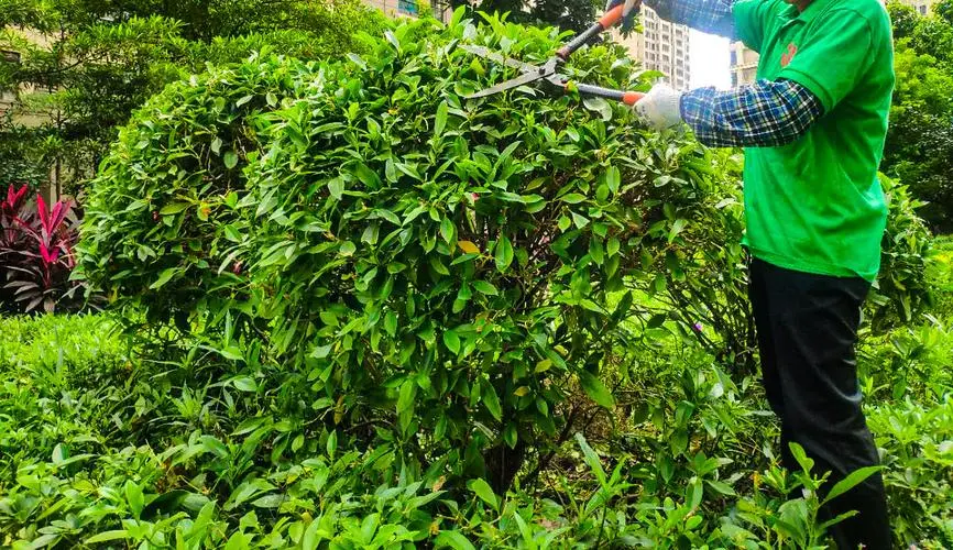 太阳能光伏花：园区绿化的新宠儿，环保节能的智慧之选